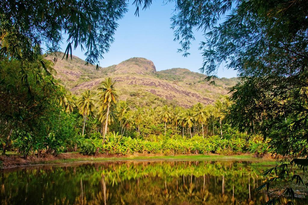 Raintree Dambulla Exterior foto