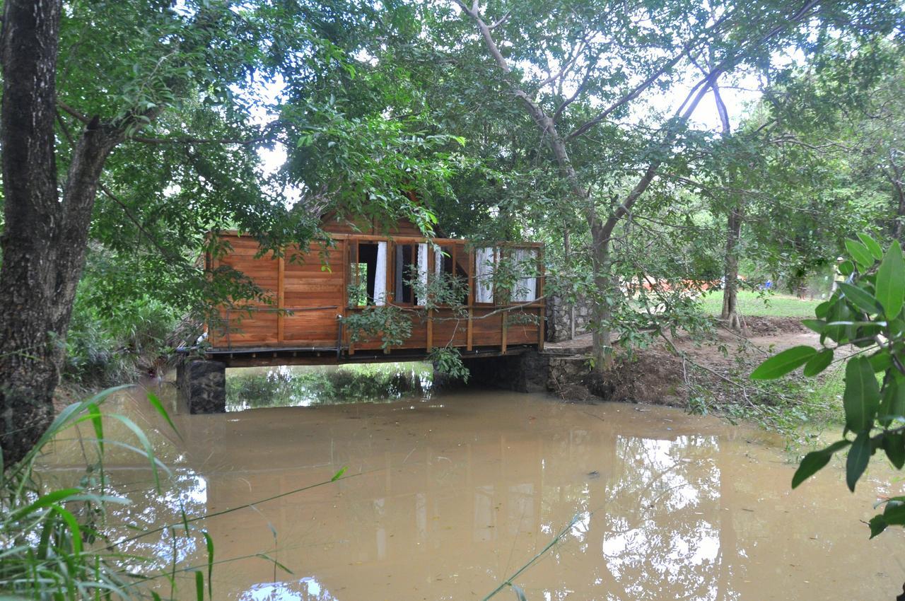 Raintree Dambulla Exterior foto
