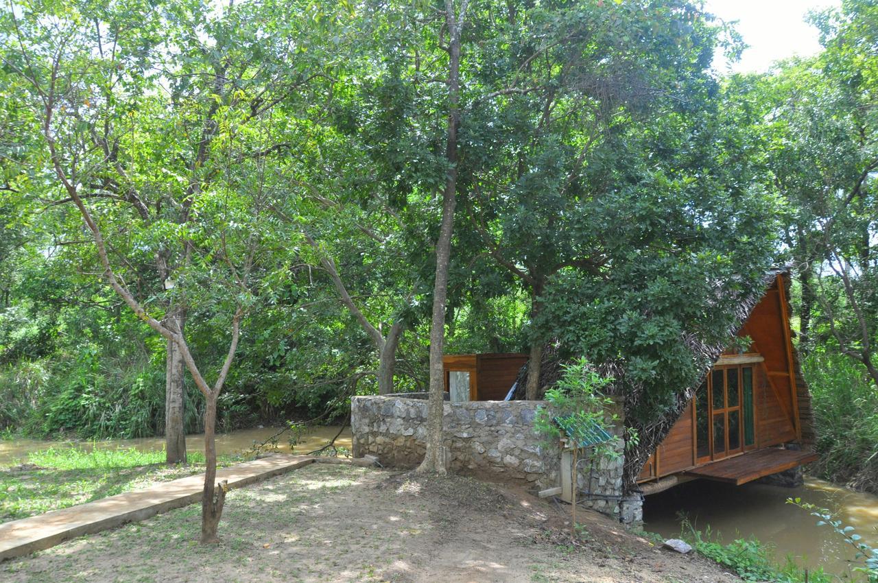 Raintree Dambulla Exterior foto