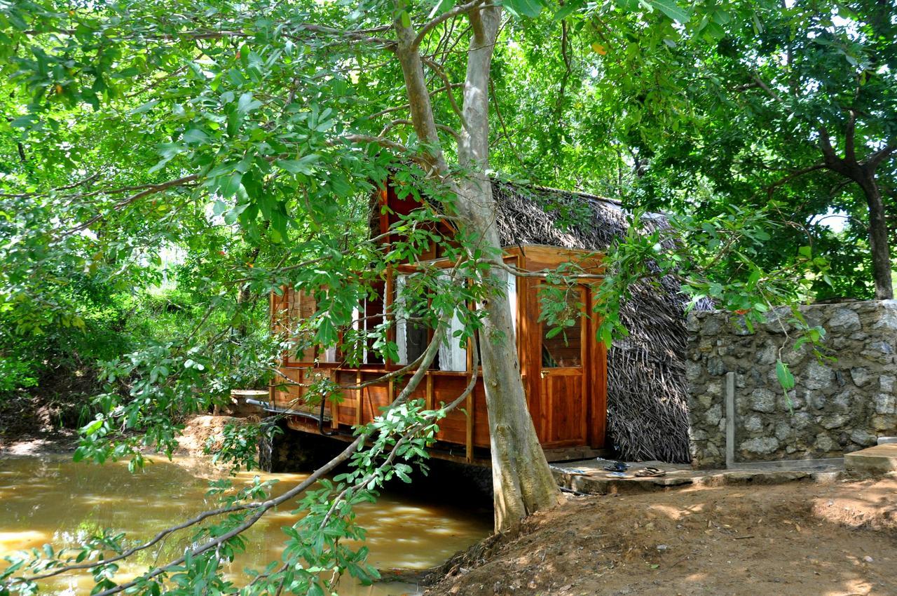 Raintree Dambulla Exterior foto