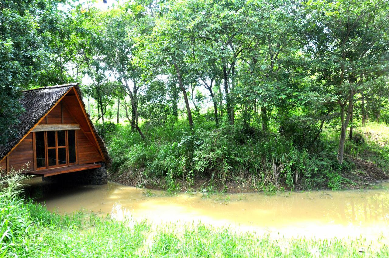 Raintree Dambulla Exterior foto