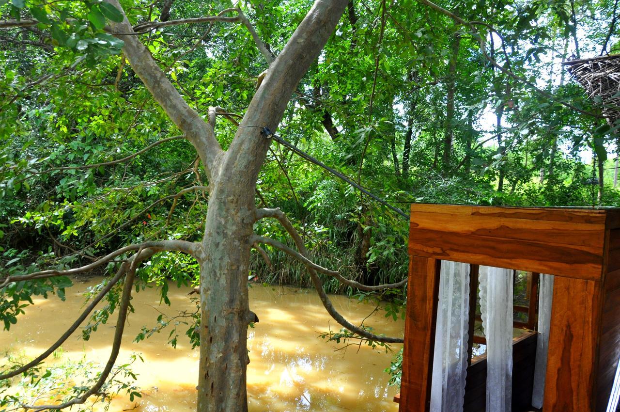 Raintree Dambulla Exterior foto