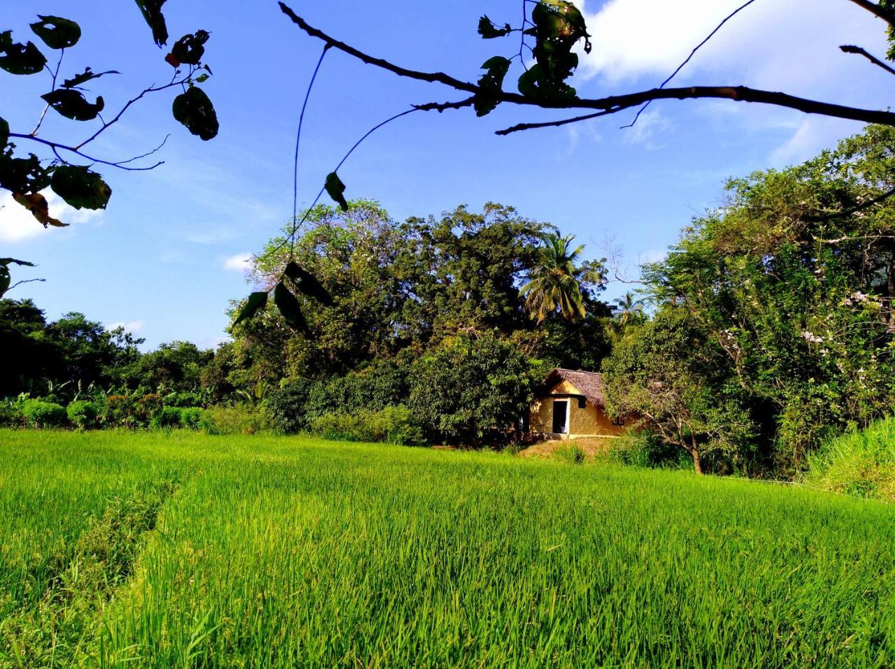 Raintree Dambulla Exterior foto