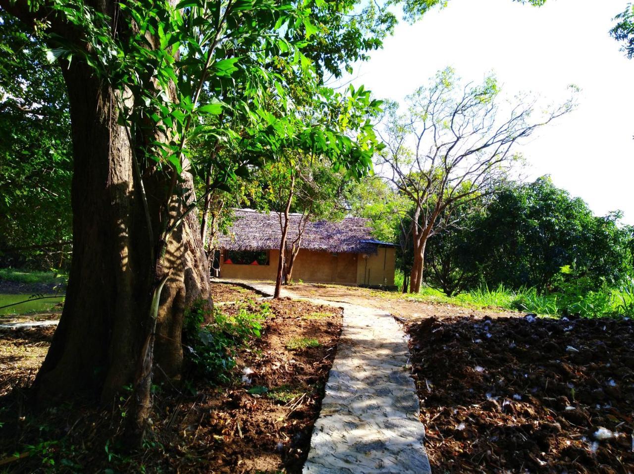 Raintree Dambulla Exterior foto