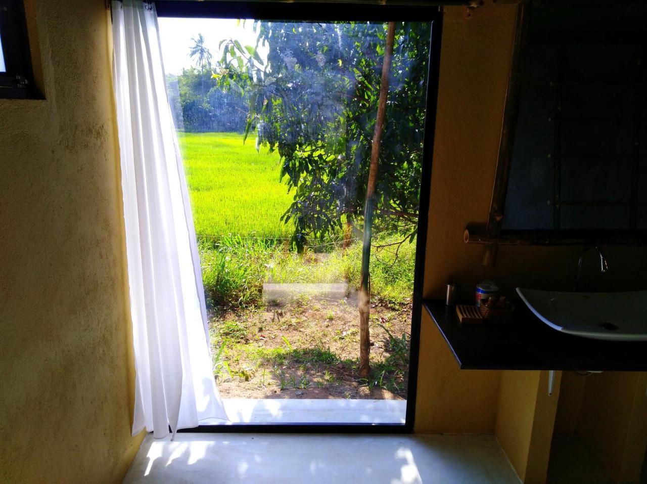 Raintree Dambulla Exterior foto