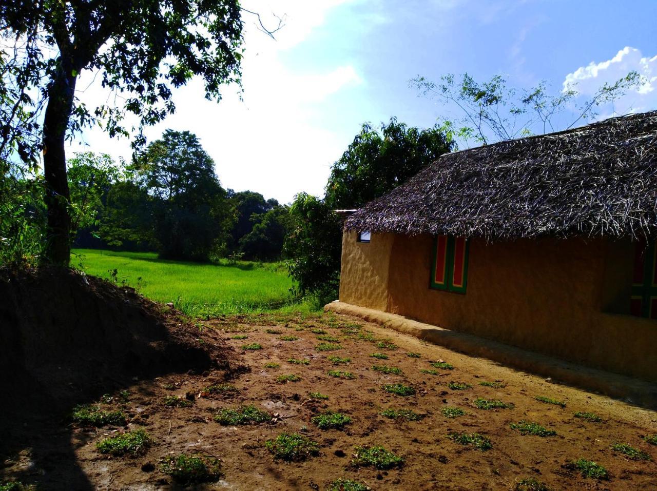 Raintree Dambulla Exterior foto