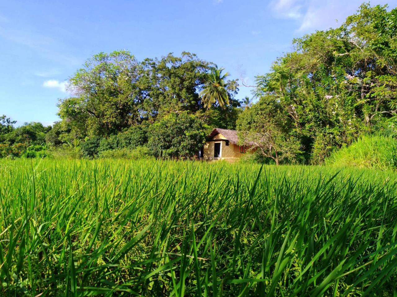 Raintree Dambulla Exterior foto