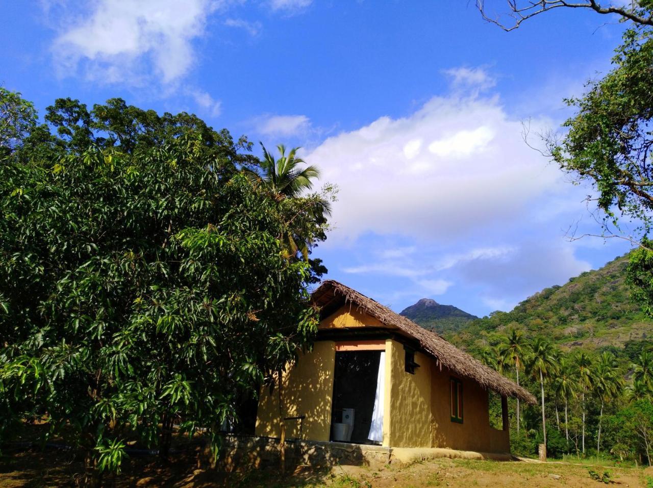 Raintree Dambulla Exterior foto