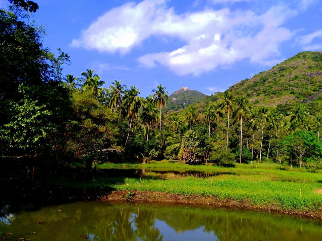Raintree Dambulla Exterior foto