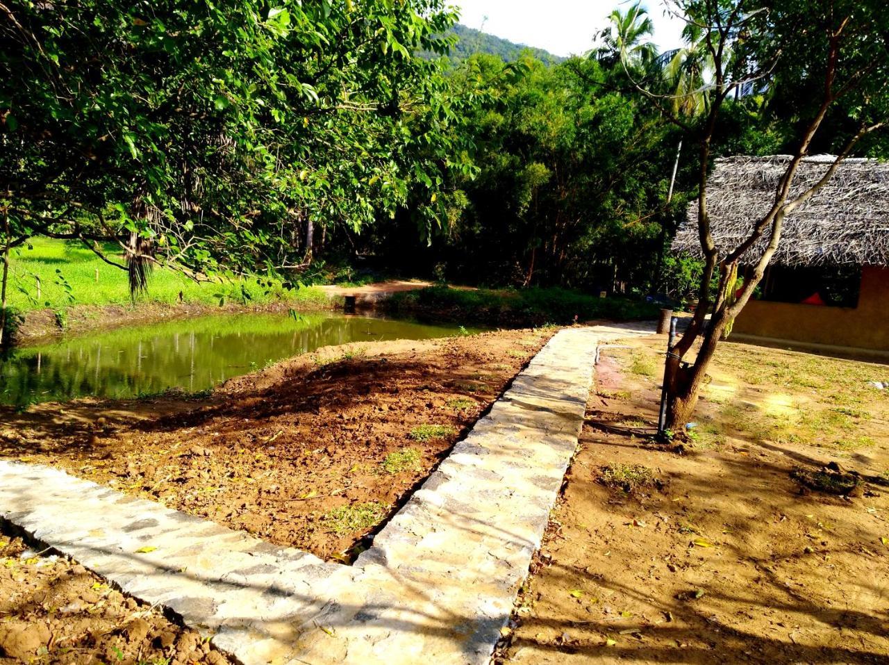 Raintree Dambulla Exterior foto